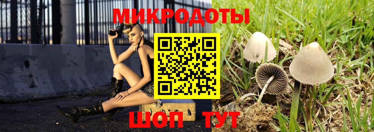 Псилоцибиновые грибы GOLDEN TEACHER Набережные Челны