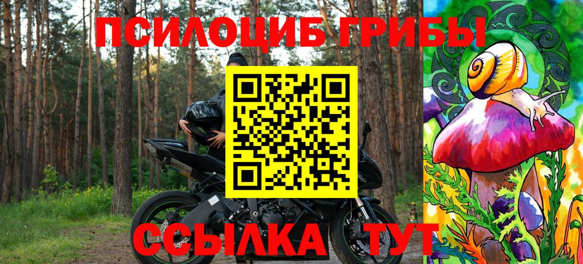 Набережные Челны  купить наркотики сайты  Вход с VPN  Галлюциногенные грибы Psilocybe 